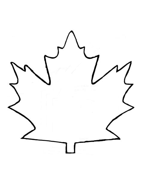 printable maple leaf outline|free printable maple leaf pattern.